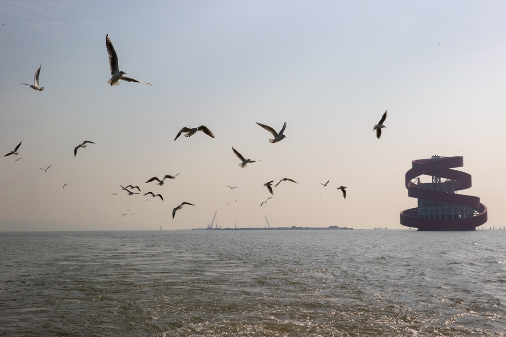 2021年12月30日，紅嘴鷗在太湖隧道馬山段一座“碧玉螺”造型的風(fēng)亭上方水域飛翔。