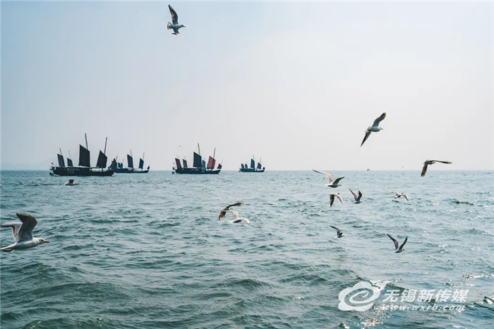 以“綠”為底 山水生“金”，無(wú)錫鐵腕“治太”“繡”出生態(tài)新城