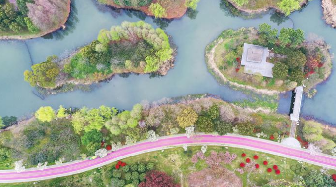 無錫：不斷提升城市生活高品質，把“健康環(huán)境”融入市民呼吸當中