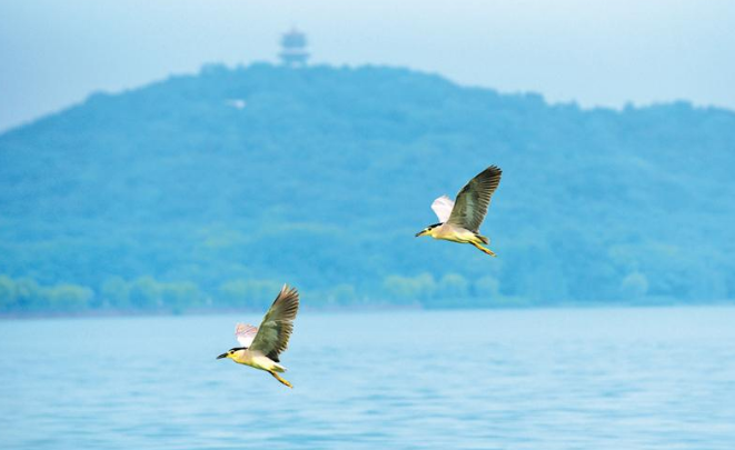 美麗無錫建設交出漂亮答卷 近十年,無錫城建和生態(tài)環(huán)保成效顯著