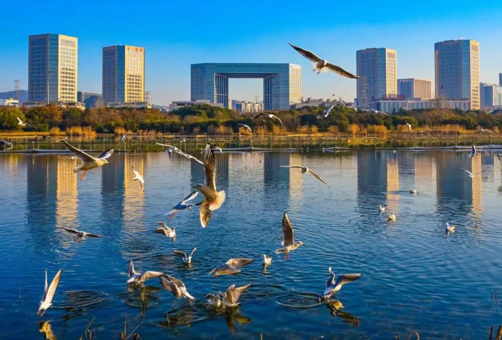 大力推進標準體系建設(shè)