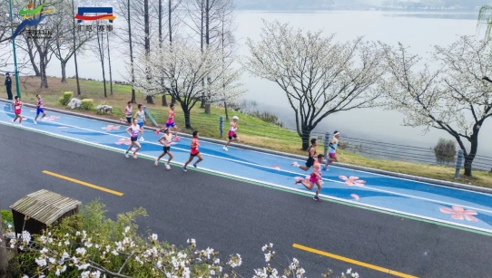 錫馬將至，市民觀賽指南來了！